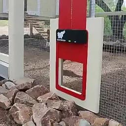 Automatic Chicken Coop Door Opener Battery Powered Light Sense Control Waterproof Pet Flap Accessories Upgrade ABS House Gate