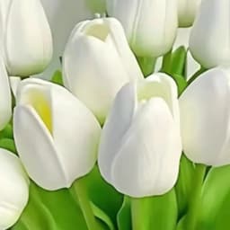Artificial Flower Realistic Touch Tulip Scrapbooking Home Room Decoration Wedding Garden Archway Garland Festival Bouquet DIY