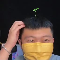 Creative Funny Little Bean Sprouts Grass Hair Clips for Girls Fashion Green Grass Bean Sprout Hairpins Plant Hair Accessories