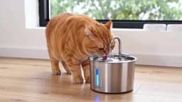 OYES 2.2L round Automatic Cat Water Fountain Stainless Steel Pet Water Feeder with Window for Dogs And Cats Pet Supplies