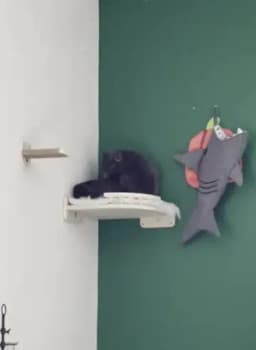 Wall Mounted Cat Climbing Shelves Cat House Cat Bridge Cat Hammock with Scratching Post and Pedals or Stairway for Kittens
