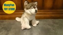 Coyote High Fidelity Anime Cute Gray Wolf Plushie Dog Plush Toys Lifelike Animals Simulation Stuffed Doll Kawai Toy Gifts Kids