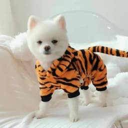 Winter Warm Dog Clothes Pet Clothes for Small Medium Dogs Chihuahua Teddy Puppy Cat Dinosaur Outfit Pet Dog Hoodies