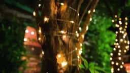 4Pcs/Pack 400 LED Solar Fairy Lights, Copper Wire String Lights with Solar Powered, 8 Lighting Modes, Outdoor/Indoor Lights for Garden, Patio, Wedding, Party & Holiday Decoration(Totaling 157.48 Feet ,Warm/Cool White/Muliticolor for Choose)