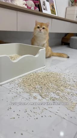 Extra Large Cat Litter Mat Heavy Duty Waterproof 2 Layer Non Slip Washable Pet Floor Protector Litter Box Sand Stopper