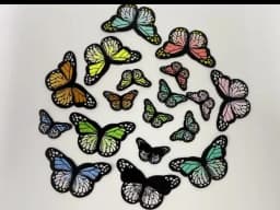 2PCS 21Color Butterfly Embroidered Patch Badges Iron On Patches For Clothing Thermoadhesive Patches On Clothes Sewing Appliques