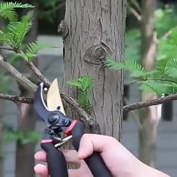 【Effort-Saving Design】Gardening Scissors Branch Pruner, Fine Craftsmanship Fruit Tree Pruner, Household Landscaping Pruning Tool
