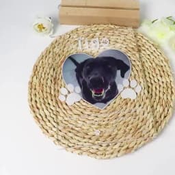 Pet Memorial Gift Custom Photo Night Light for Deceased Pets Personalized LED Pet Plaque Sympathy Gift for Dog Cat Loss with Sta