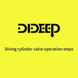 DIDEEP 3500Psi Scuba Diving Tank Valve,High Pressure DIN/YOKE Valve,Diving Cylinder Valve M18*1.5 Thread,Diving Tank Accessories