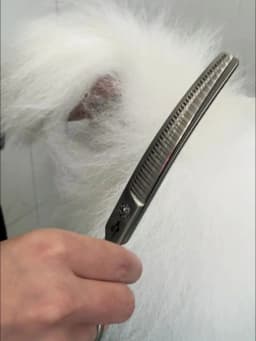Fenice 7.0 Inch VG10 Steel 3D Gradient Traceless Teeth Pet Curved/Straight Chunker Scissors Bearing Screws Pet Grooming Shears
