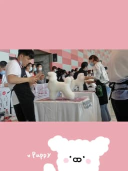 Silicone Waterproof Pet Grooming Table Anti-Slip Pad Beauty Mat Upgrade Model with Beautician Sign Competition Pad