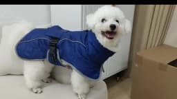 Large Dog Jacket Warm Dog Clothes Winter Coat French Bulldog Reflective Dog Cold Weather Coats Pet Snow Jacket