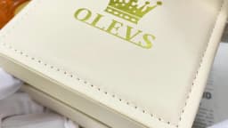 OLEVS 9910 Brand Original Authentic Watches for Man Luxury Gift Box Steel Belt Multifunctional Tourbillon Mechanical Men's Watch