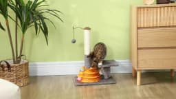 PawHut 56cm Cat Tree for Indoor Cats, Scratching Post with Cat Toys Climbing Tower Activity Centre, Dangling Ball - Grey