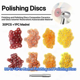 Multi-Grit Sanding Discs Set For 30Pcs Polishing Disc Kits + 1 Rod