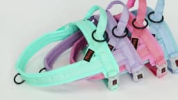 Nylon Dog Harness No Pull Dog Puppy Harnesses Soft Padded Pet Vest Adjustable for Small Medium Large Dog Chihuahua Pug Pitbull
