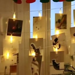 Garland Card Photo Clip String Lights 1.5M 10LEDS Led Fairy Light Xmas Bedroom DIY Clothespin Shapes Battery Christmas Lamp