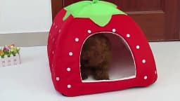 Cute Strawberry Pet Dog Cat House Foldable Warm Soft Winter Dog Bed Sofa Cave Puppy Dog House Kennel Nest For Small Dogs Cats