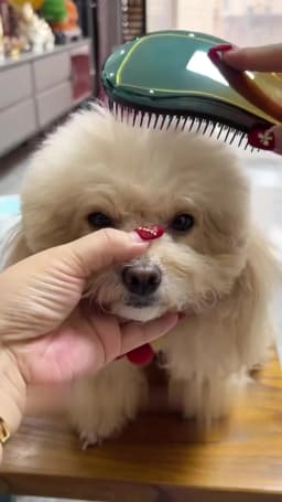 Dog Comb Pet Massage Comb Cat Hair Cleaning Artifact Combing Fluffy Princess Comb