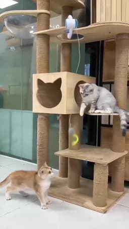 Door Hanging Auto-Rebound Cat Toy Retractable Kitten Teaser with 3 Catnip Mice Interactive Pet Play Toy for Indoor Playing Exer