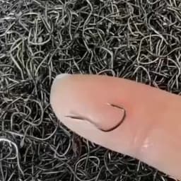 Wolf Tooth Fishing Hooks Competition Special Curved Shaped Hooks Designed for Slip Lip Catfish Suitable for Carp And Grassfish