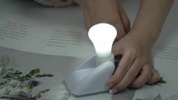 LED Pull Cord Wall Night Lights Cabinet Closet Table Lamp Self Adhesive Bulb For Home Toilet Bedroom Lighting Battery Operated