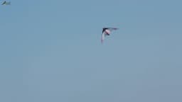 NEW Arrive 48 Inch Blue Professional Dual Line Stunt Kite With Handle And Line Good Flying Factory Outlet