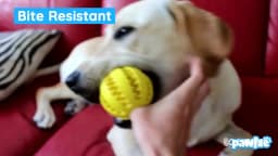Silicone Pet Dog Toy Ball Interactive Bite-resistant Chew Toy for Small Dogs Tooth Cleaning Elasticity Ball Pet Products 5/6/7cm