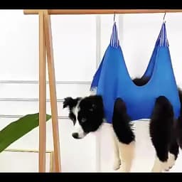 Mesh Breathable Dog Grooming Hammock for Small Medium Dogs Cats Suspension Type Pet Restraint Bag Cleaning Medical Accessories