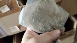 25-100pcs of Brass Diameter 1.2mm 1.5mm 2mm 3mm Iron Small Mini Round Head Nail Nails, Suitable for Jewelry Boxes, Hinges