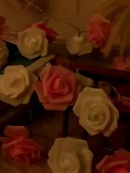 Rose Flower LED String Lights USB/AA Battery Powered Fairy Lighting for Wedding Home Party Birthday Festival Decorations