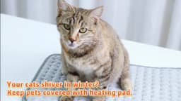 60x30CM Electric Heating Pad with 9 Levels Constant Temp 4 Modes Timer Body Warming Thermal Mat for Leg Abdomen Hand Thermal Mat