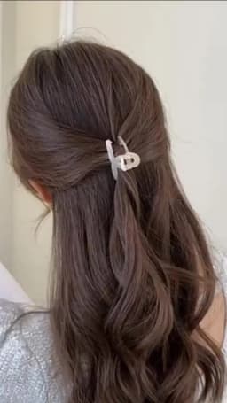 Small Size Shark Clip Ponytail Height Fixed Gadget Small Jaw Clip Bang Clip Accessories High Sense Clip Headdress Hairpin Female