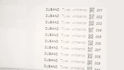 DUBAND 1000 Pcs No Logo Paper 3/4 Inch Wristbands for Event, Sport Wristband, Tyvek ID Festival Paper Bracelet