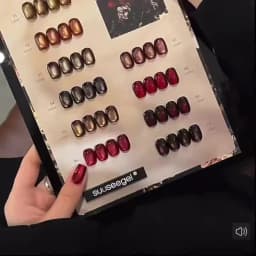 10ML 1-10PCS Winter New Style Hot Selling Black Nails Brown Nails Glass Bead Magnet Cat Eye Nail Polish Nail Set Nail Supplies