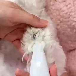 1pc Pet Grooming Scissors, Dog Grooming Set, Low-Noise Dog and Cat Hair Clippers, Battery/USB Powered LED Lights