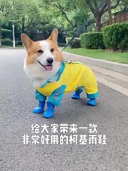 4Pcs Pet Waterproof Raincoat Anti-slip Rubber Boot For Small Medium Large Dogs Cats Outdoor Shoe Dog Ankle Boots Pet Rain Shoes