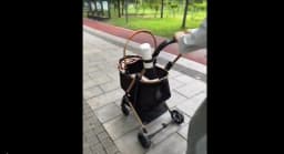 Pet 3-in-1 Portable Foldable Pet Strollers with Detachable Bag Small Medium Dogs Cats Up to 45 lbs Carts Basket Can Be Separated