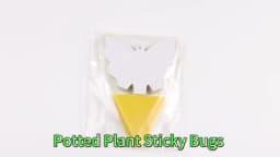 Landisun Fruit Fly Traps Fungus Gnat-Traps for Indoor-Outdoor Yellow Fruit-Fly Sticky-Trap Plants Flying Bug Insects Traps