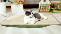 Couch Cat Scratcher Sofa Protection Artifact Cat Supplies Cat Scratch Board Pad Cat Scratching Post Send Nail Fixed Cat Toys