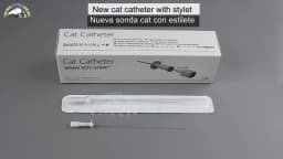 72pcs/120pcs Cat Catheters with Stylet 3Fr End Hole 4Fr Side Holes Veterinary Supplies