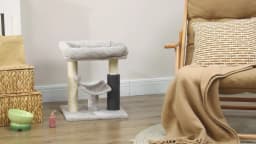 PawHut Small Cat Tree for Indoor Cats, Cat Scratching Post with Bed, Self Groomer, Toy - Grey