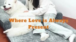 180cm Giant Dog Bed, Human Size Foldable Orthopedic Pet Bed with Plush Cover, Extra Large Calming Dog Mattress