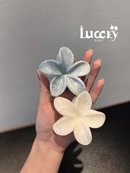 Frangipani Fresh and Sweet Egg Flower Back of Head Disc Hair Shark Clip Hair Ornament Claw Hair Clips for Women