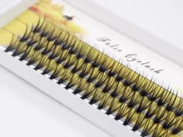 40/30/20D Cluster Mink Eyelashes Natural Eyelash Extension 1 Box/60 Bunches Indiviual Bunches Soft Box Makeup Lashes Wholesale