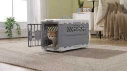 Foldable Pet Carrier, Collapsible Cat Dog Travel Crate with Secure Lock Door, Anti-Slip Mat, Portable Small Animal Kennel for Travel