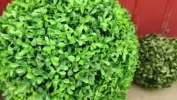10-48cm Artificial Green Plant Grass Ball Simulated Boxwood Decorative Ball Balcony Courtyard Garden Wedding Home Decoration