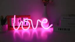 LED Neon Light Sign Strip New 189 Styles Wall Art Lamp Nightlight LOVE Heart Animal Cat Figure Model Decor Room Shop Xmas Gift