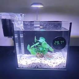 Newest Aquarium Thermometer LCD Digital External Thermometer Charging Type-C Fish Tank Mini Thermometer High Precision -9.9-50℃