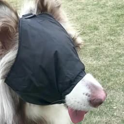 Dog Calming Cap Eye Mask Nylon Shading Pet Anxiety Mask Muzzle Dog Blindfold for Grooming Anti Car Sickness 23 JulyO2